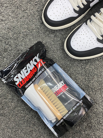 Sneaky Cleaning Kit