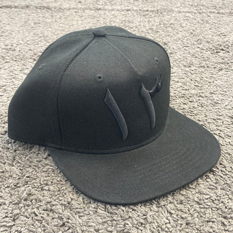 3RT1N Flat Cap Black Snapback