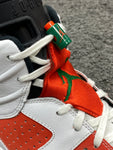 Air Jordan 6 Gatorade