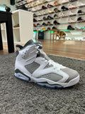 Air Jordan 6 Cool Grey